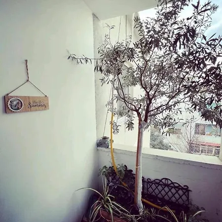 Cozy & Stylish Lägenhet Tirana